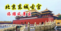 白丝袜男生女生羞羞羞中国北京-东城古宫旅游风景区